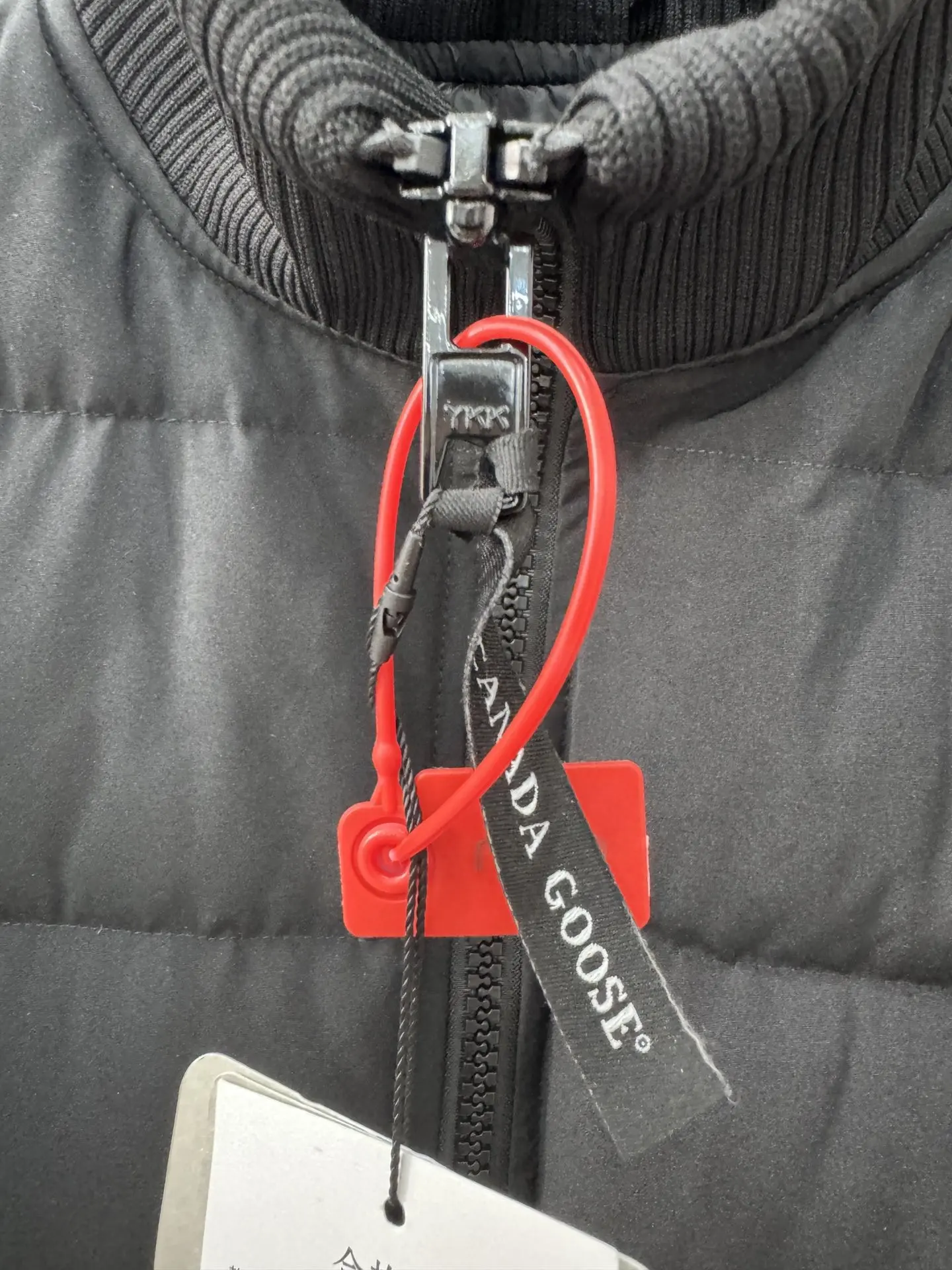 Canada Goose Quilted Down Bomber Jacket D52020969 — view 4